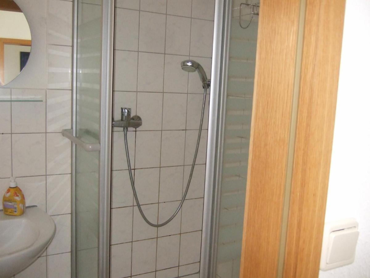 Ferienwohnung Am Neuseenland Rotha Ngoại thất bức ảnh